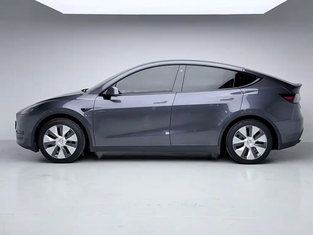 Tesla Model Y — фото 14