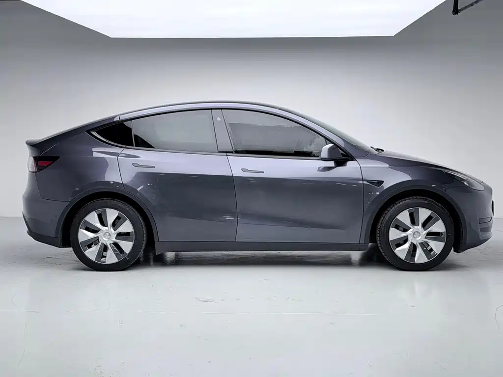 Tesla Model Y — фото 15