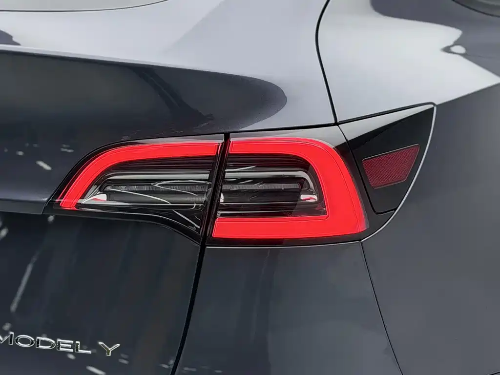 Tesla Model Y — фото 19