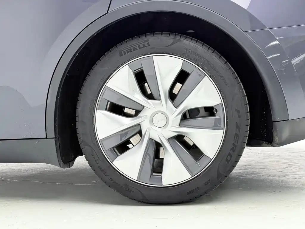 Tesla Model Y — фото 20