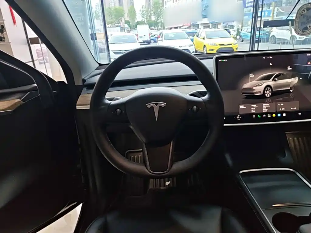 Tesla Model Y — фото 11
