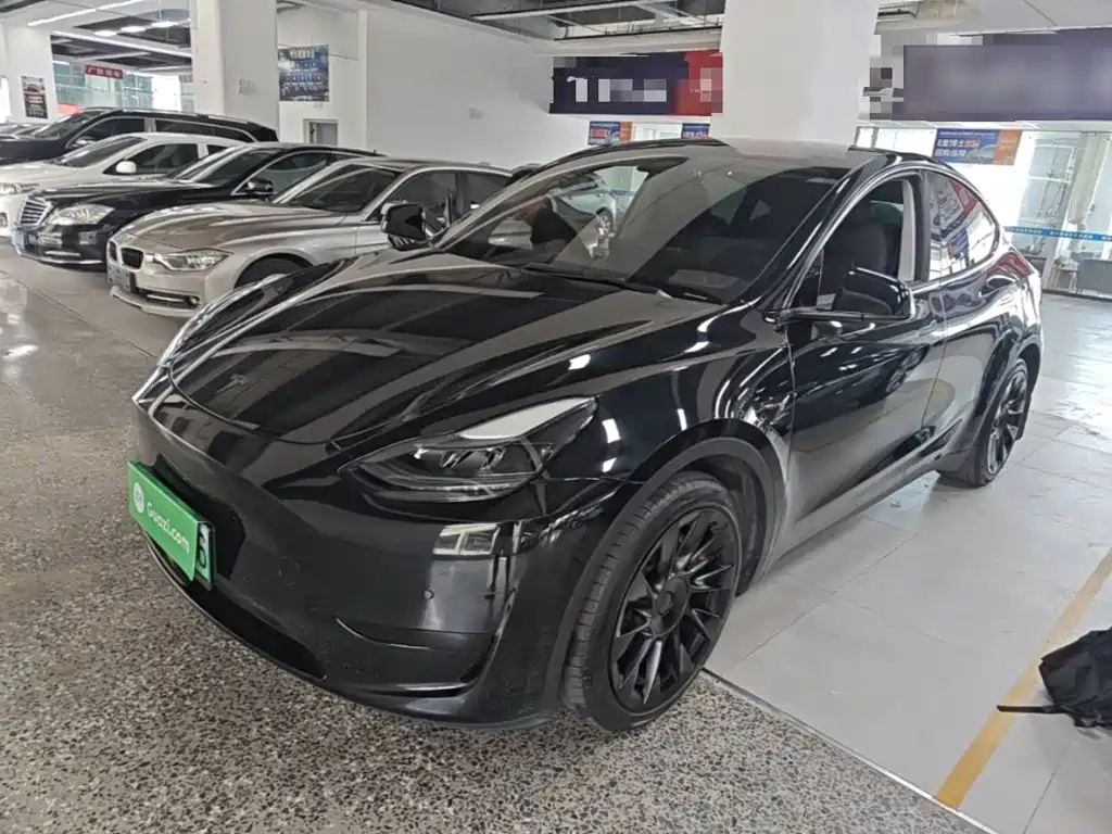 Tesla Model Y — фото 2