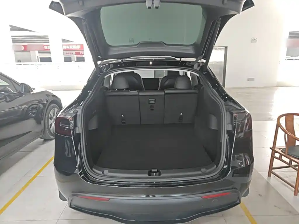 Tesla Model Y — фото 18