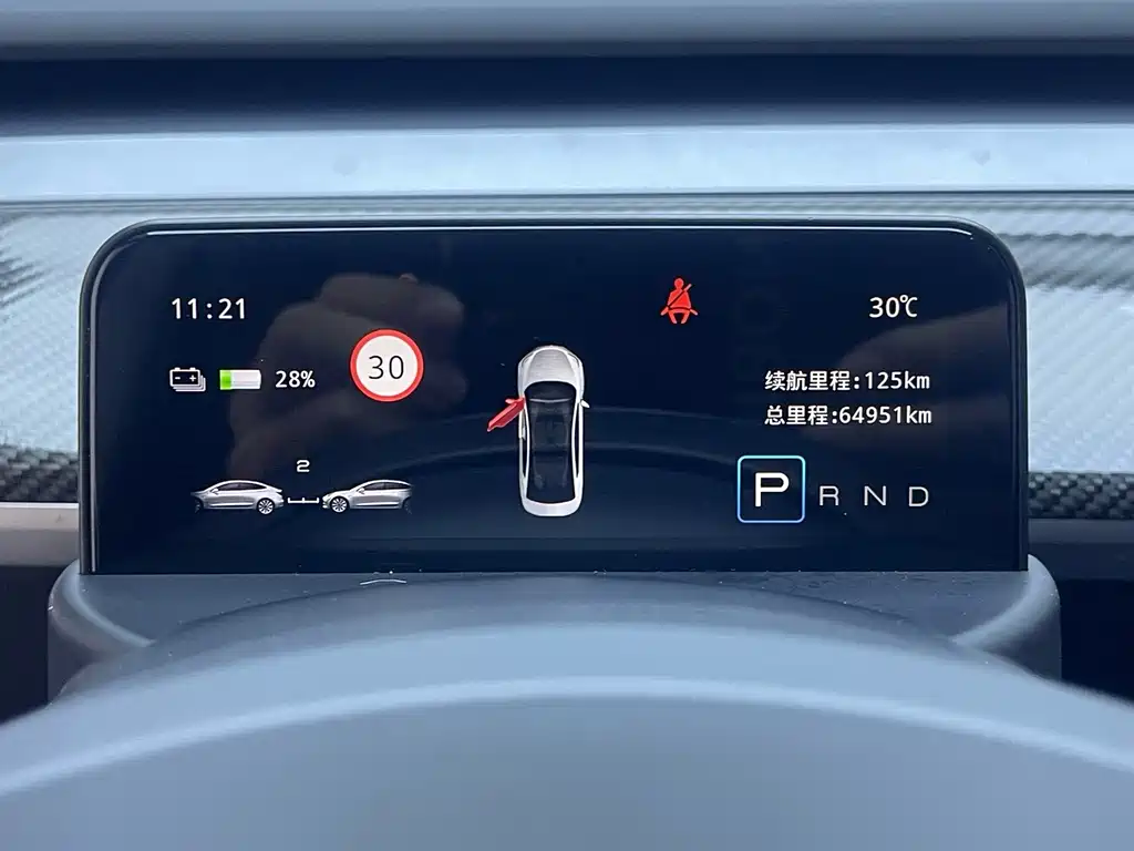 Tesla Model Y — фото 14