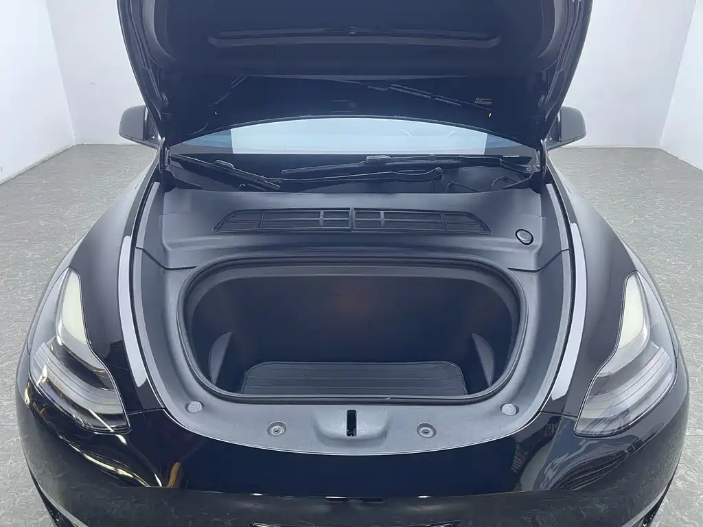 Tesla Model Y — фото 18