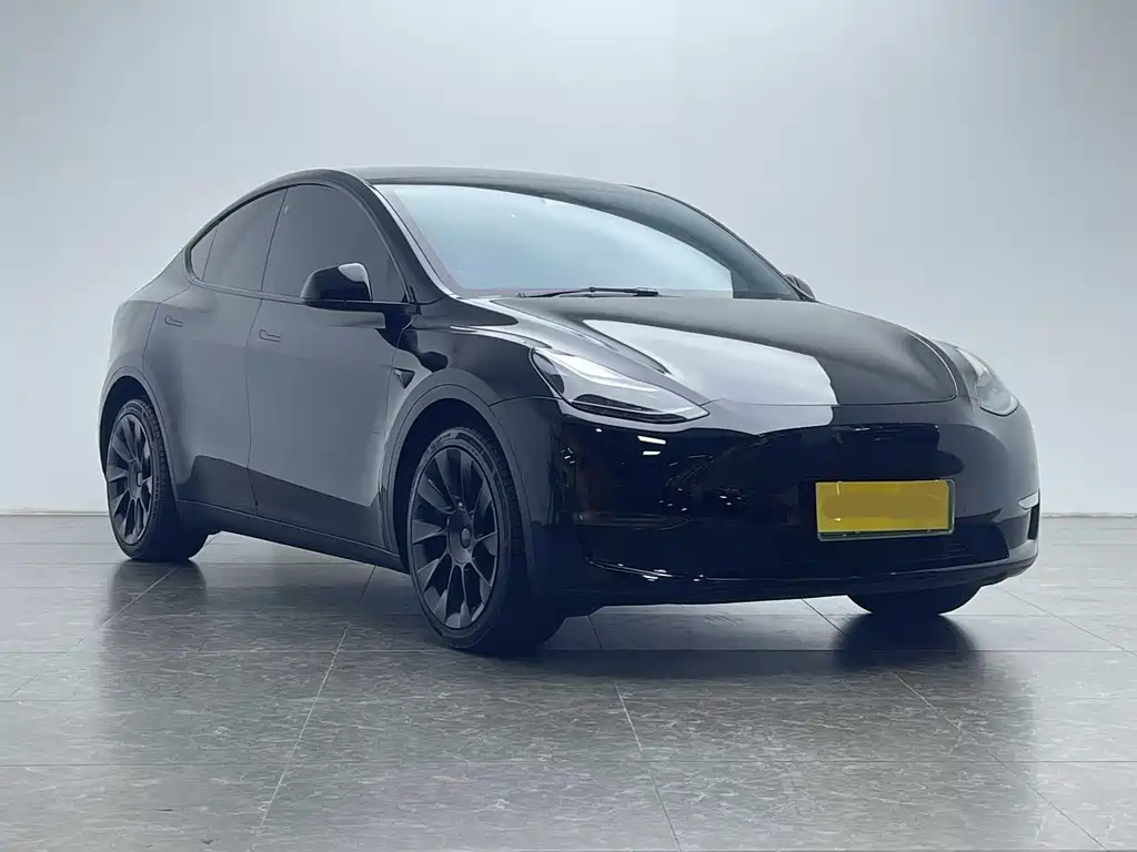Tesla Model Y — фото 20