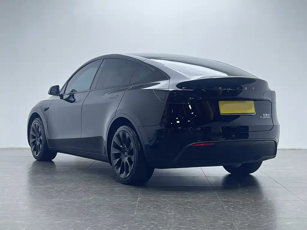 Tesla Model Y — фото 21