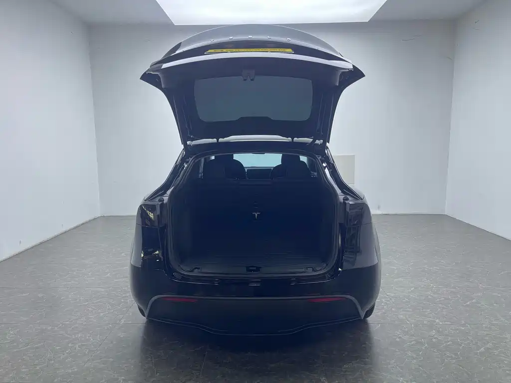 Tesla Model Y — фото 5