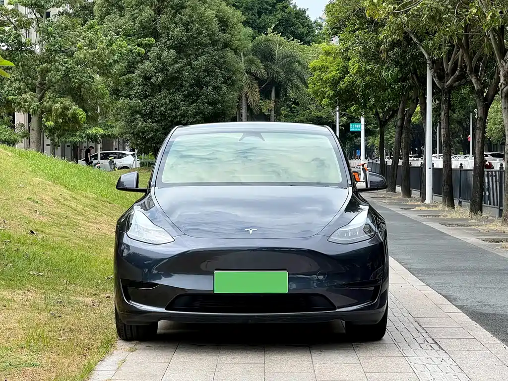 Tesla Model Y — фото 2