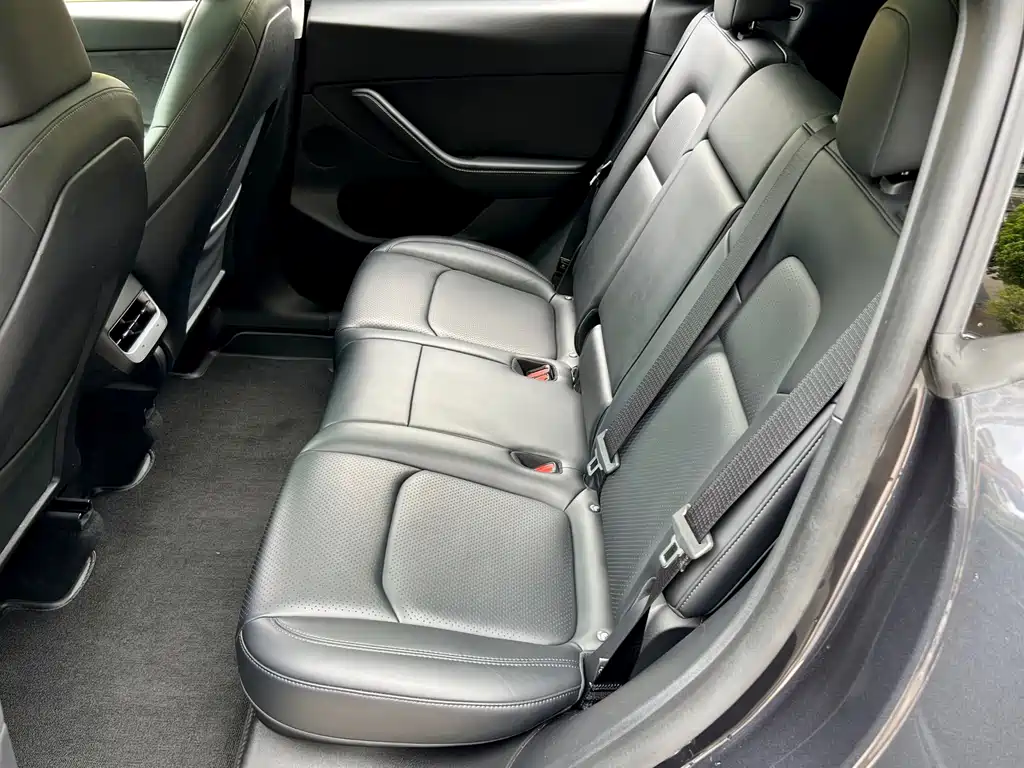 Tesla Model Y — фото 15
