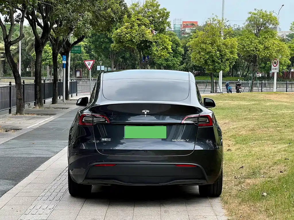 Tesla Model Y — фото 3
