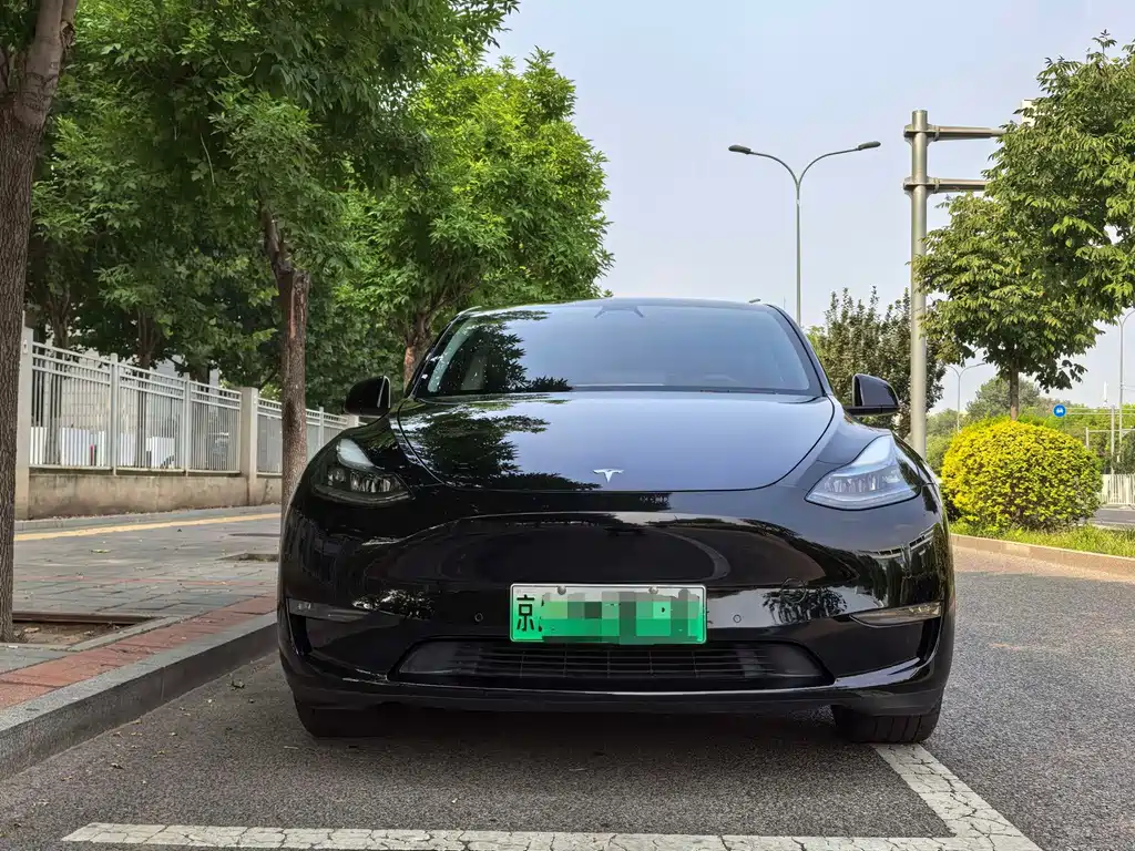 Tesla Model Y — фото 2