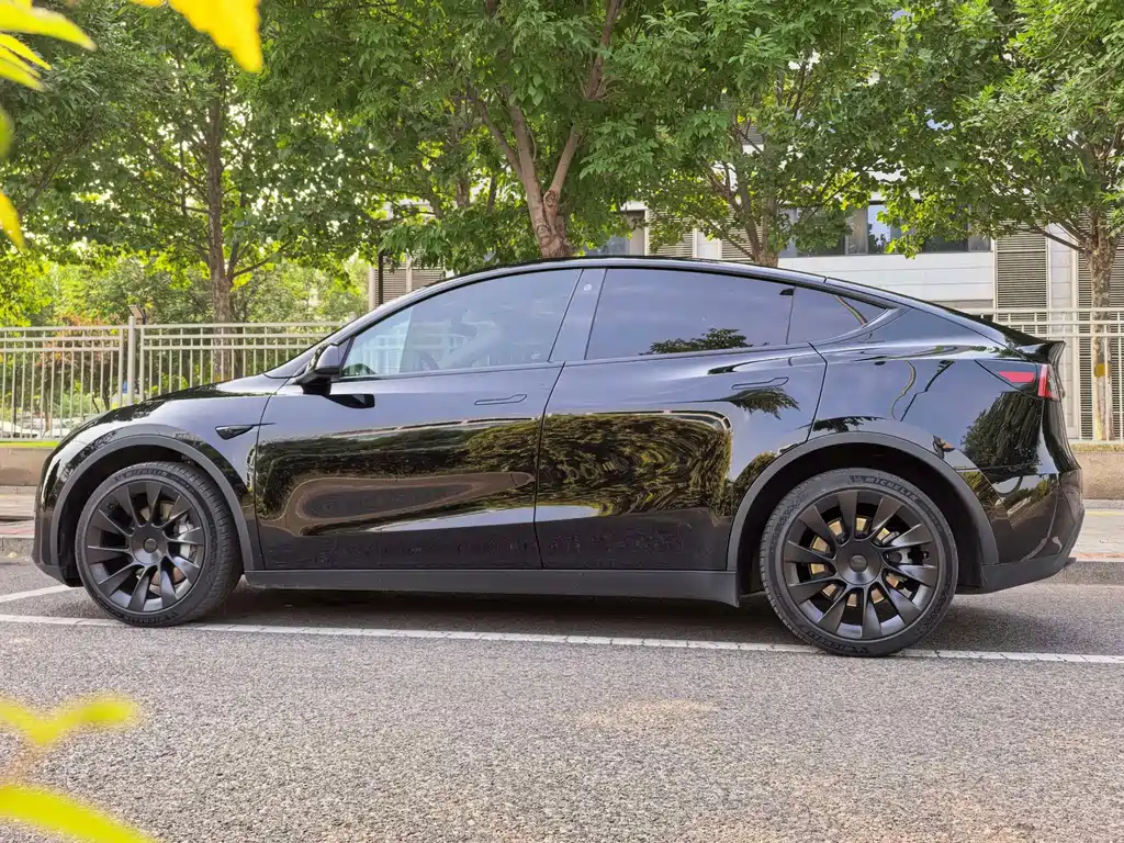 Tesla Model Y — фото 16