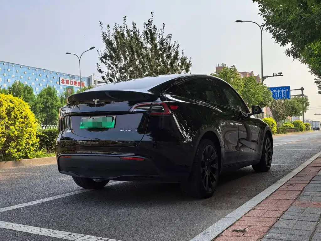 Tesla Model Y — фото 19