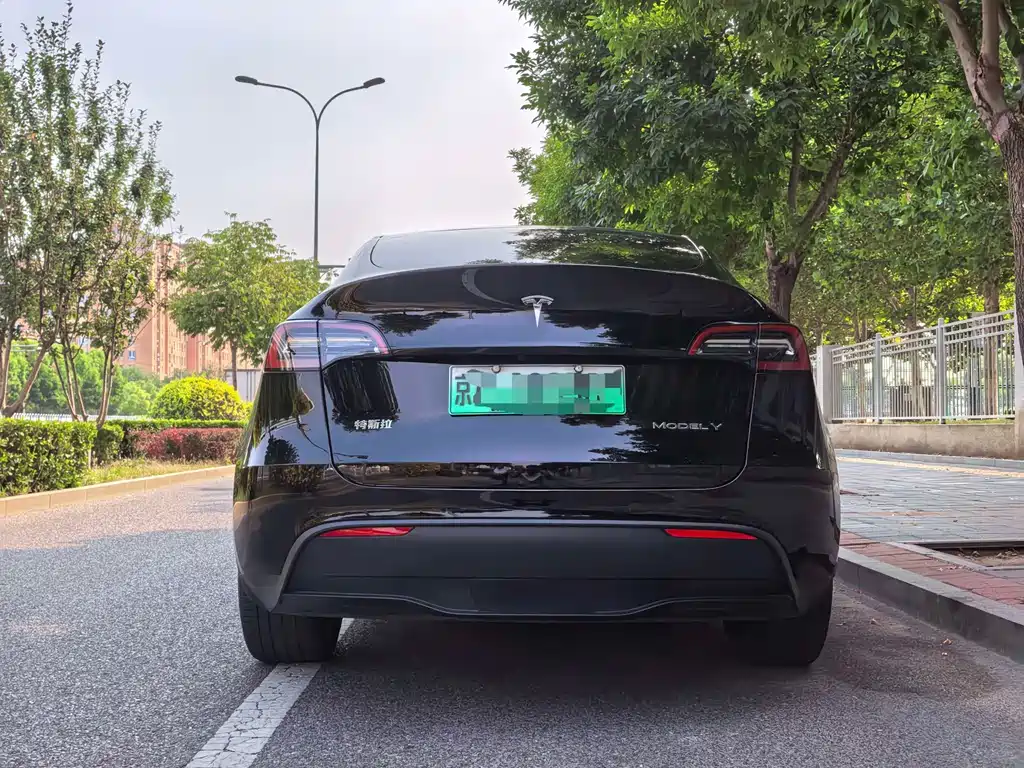 Tesla Model Y — фото 20