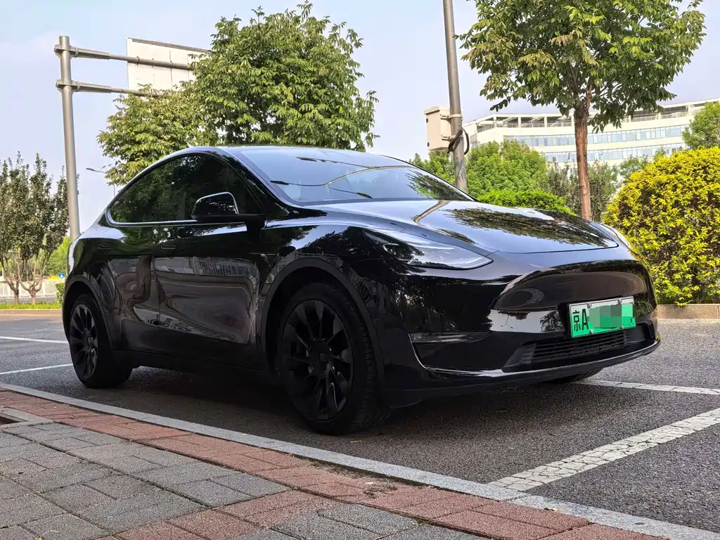 Tesla Model Y — фото 3