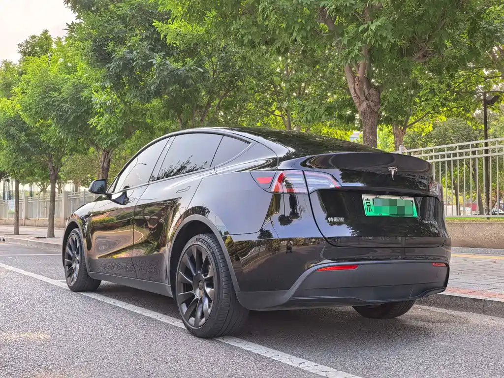 Tesla Model Y — фото 21