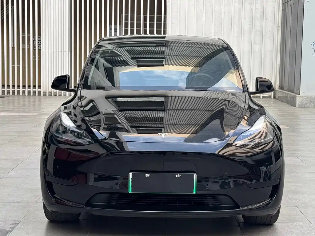Tesla Model Y — фото 2