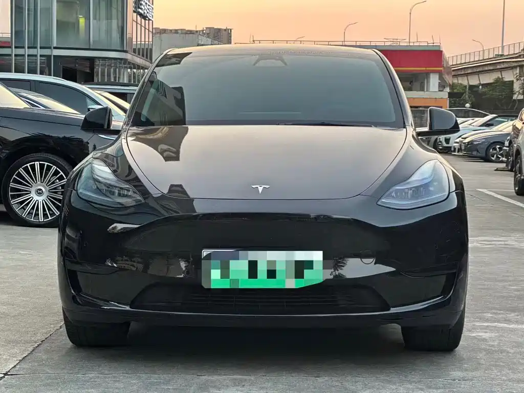 Tesla Model Y — фото 2