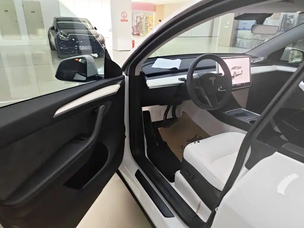 Tesla Model Y — фото 16