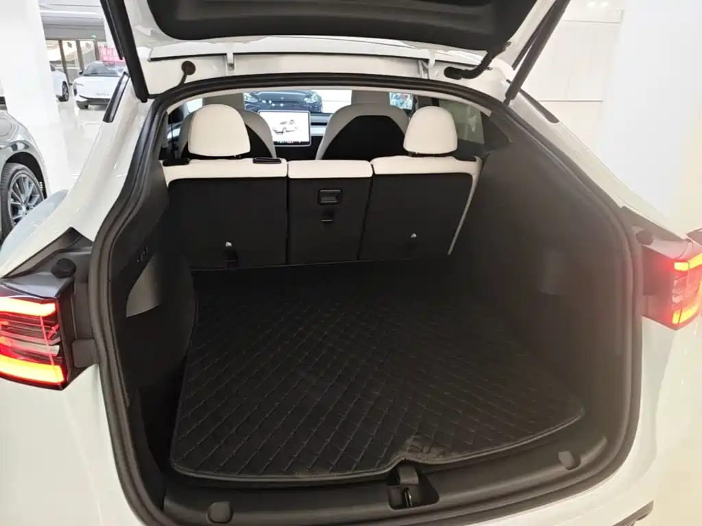 Tesla Model Y — фото 19