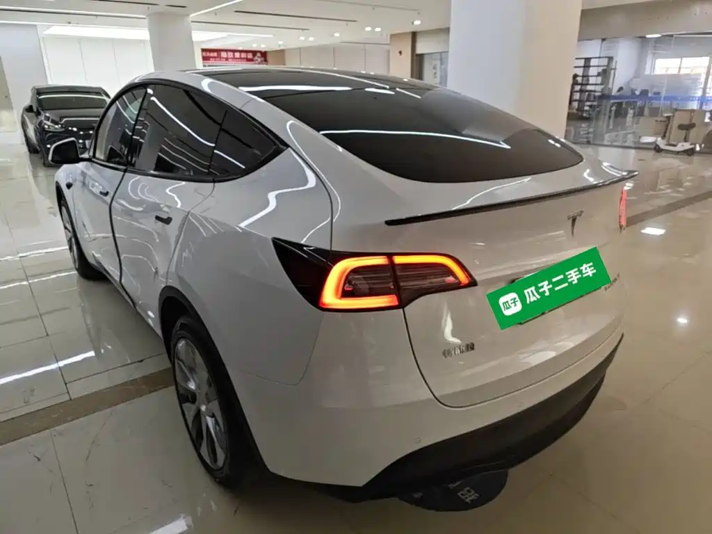 Tesla Model Y — фото 5