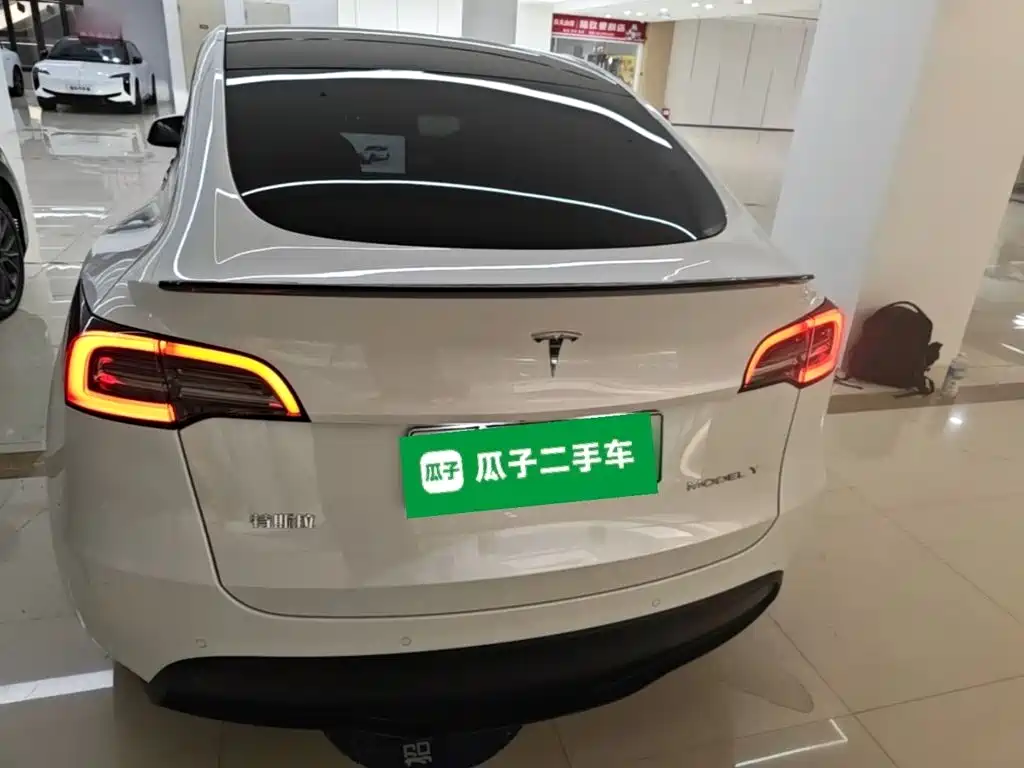 Tesla Model Y — фото 6
