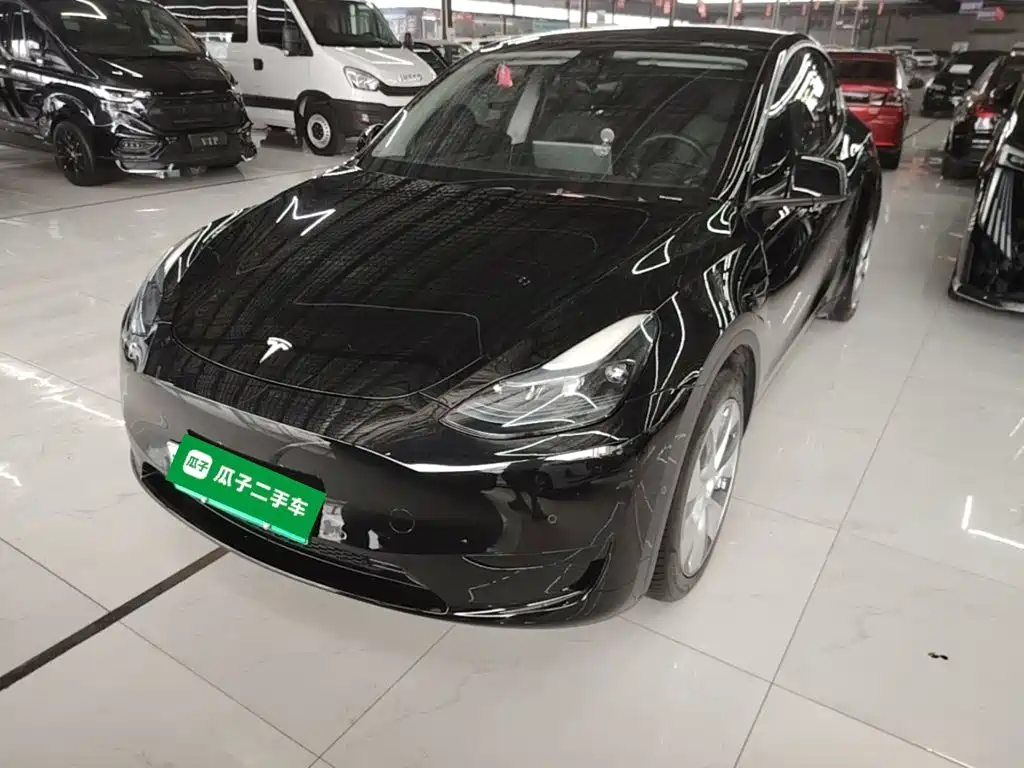 Tesla Model Y — фото 2