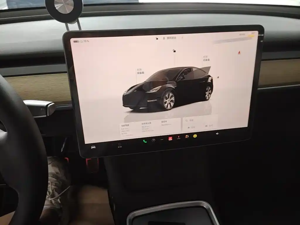 Tesla Model Y — фото 13