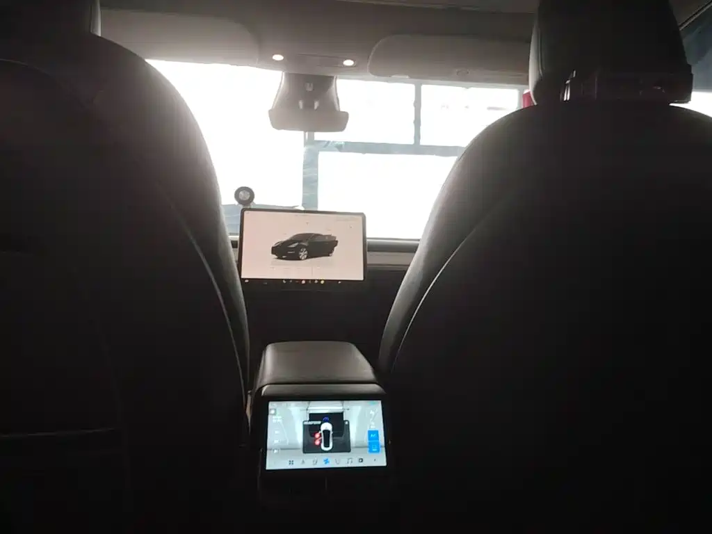 Tesla Model Y — фото 18