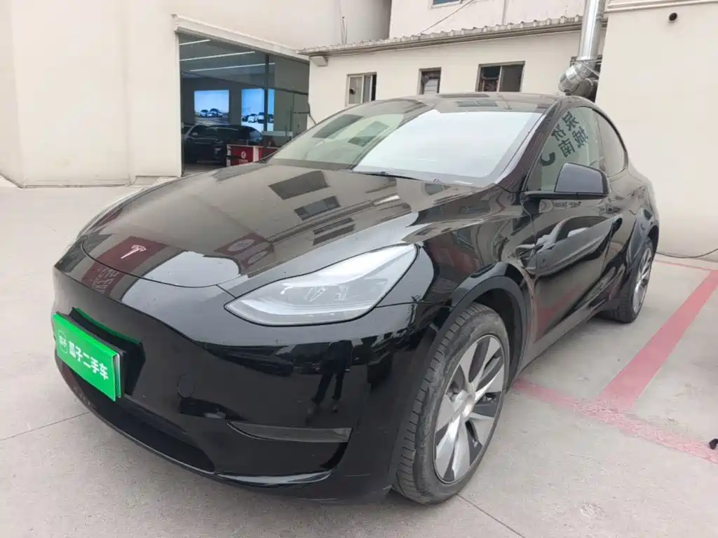 Tesla Model Y — фото 2