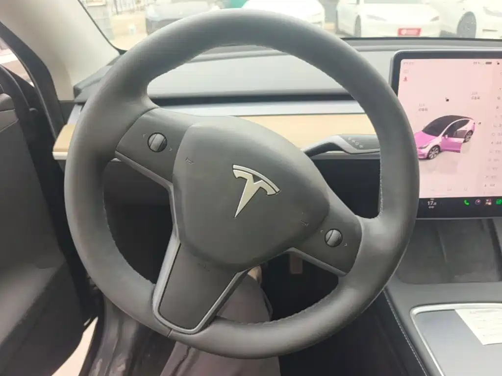 Tesla Model Y — фото 11