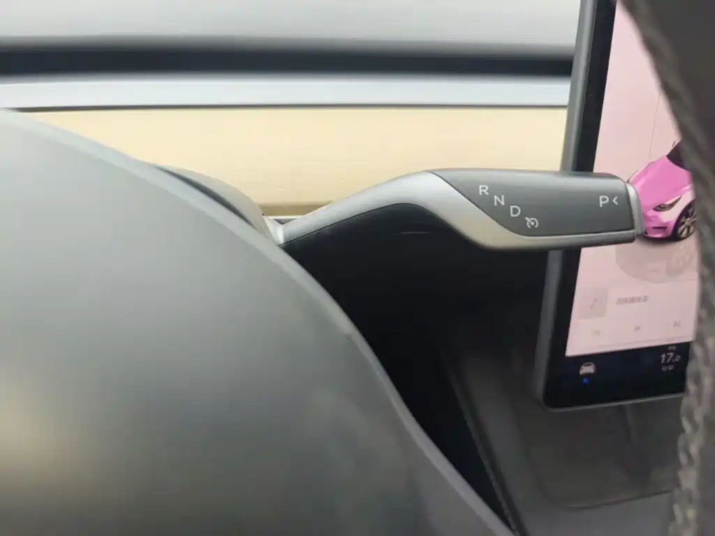 Tesla Model Y — фото 14
