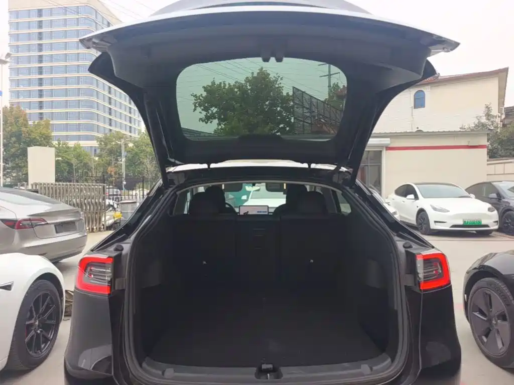 Tesla Model Y — фото 19