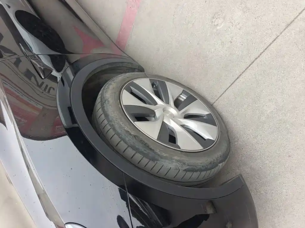 Tesla Model Y — фото 23
