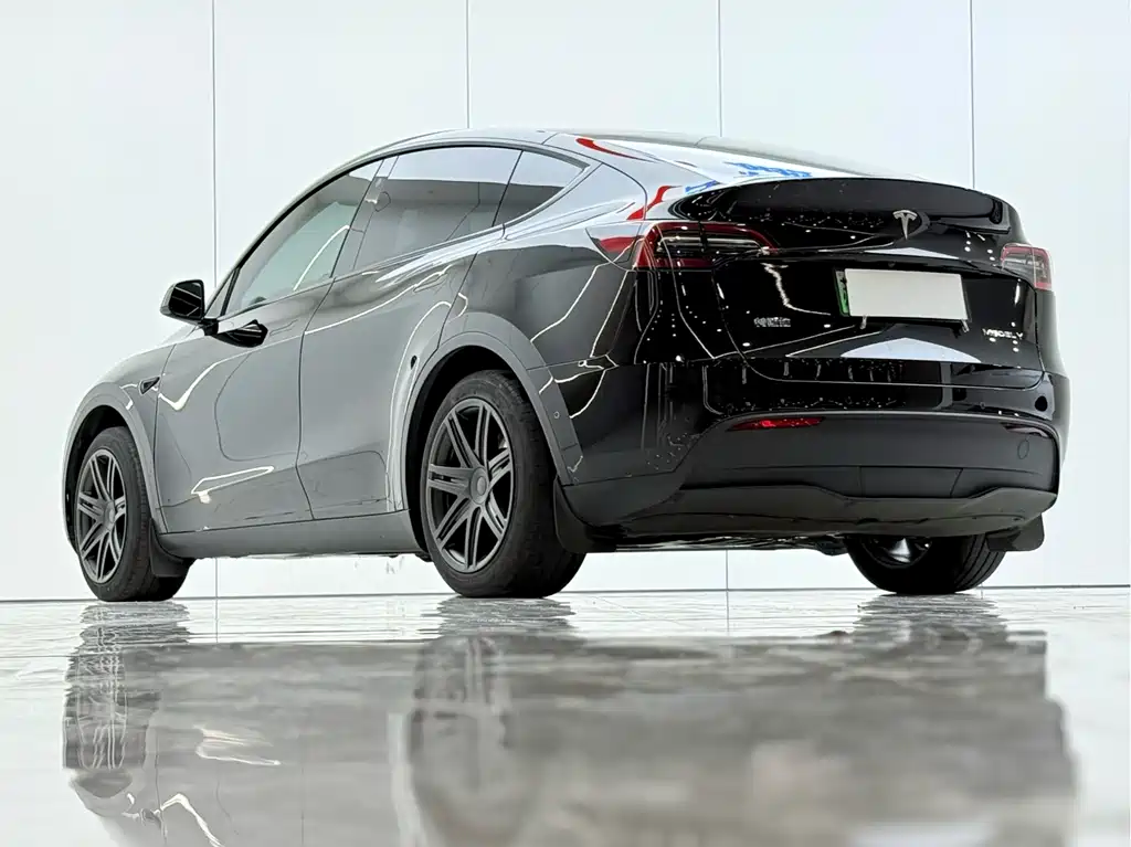 Tesla Model Y — фото 14