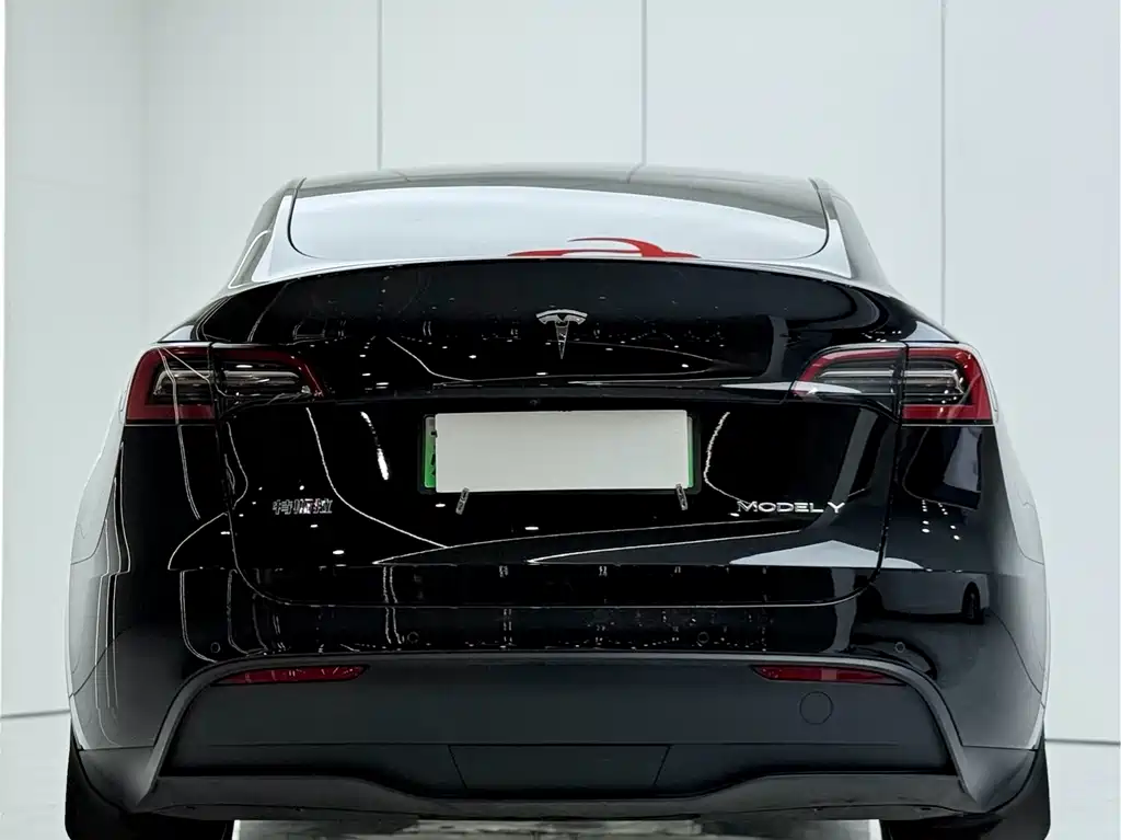 Tesla Model Y — фото 15