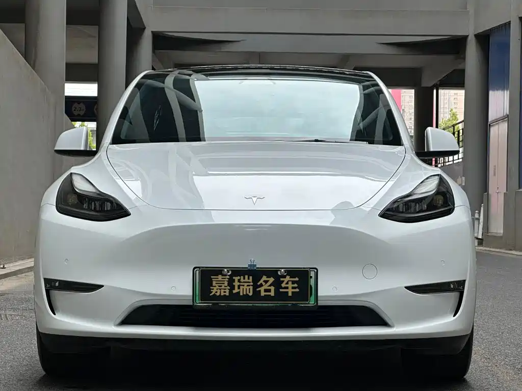 Tesla Model Y — фото 2