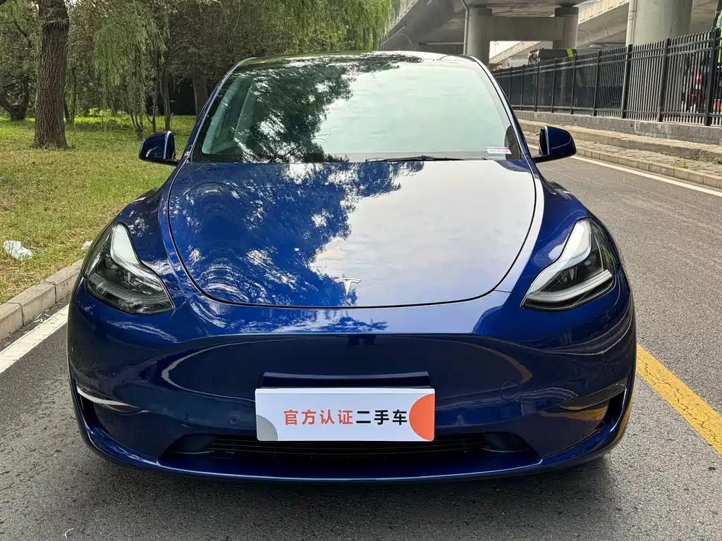 Tesla Model Y — фото 2