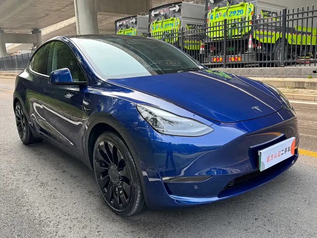 Tesla Model Y — фото 3