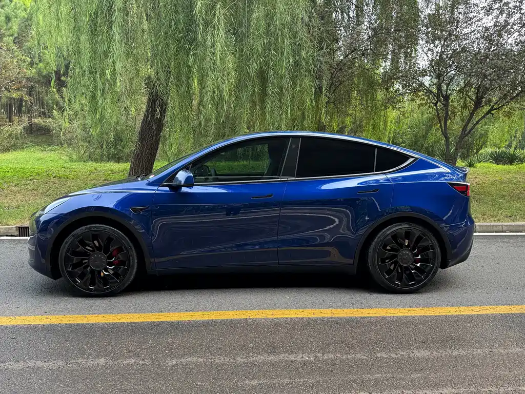 Tesla Model Y — фото 4