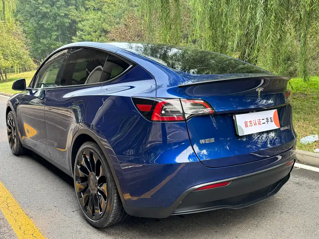 Tesla Model Y — фото 5
