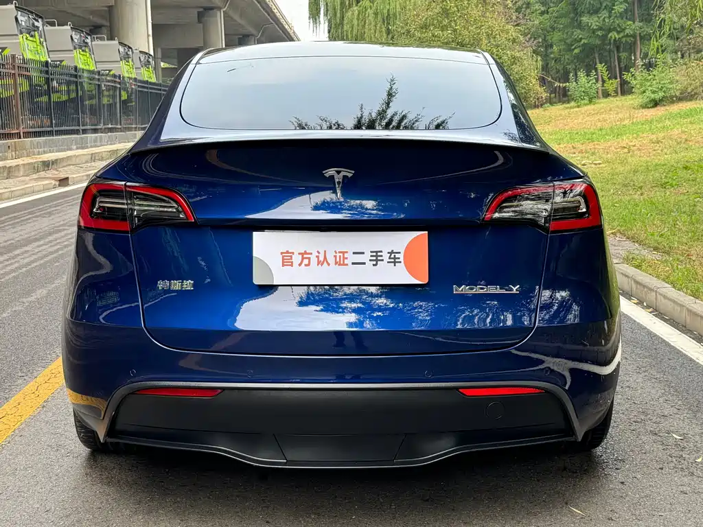 Tesla Model Y — фото 7