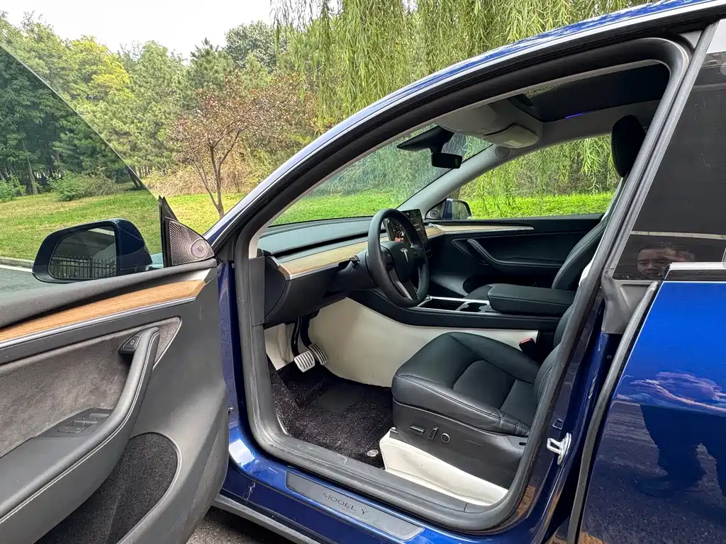 Tesla Model Y — фото 9