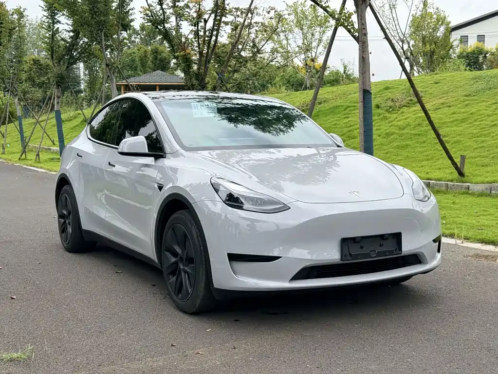 Tesla Model Y — фото 2