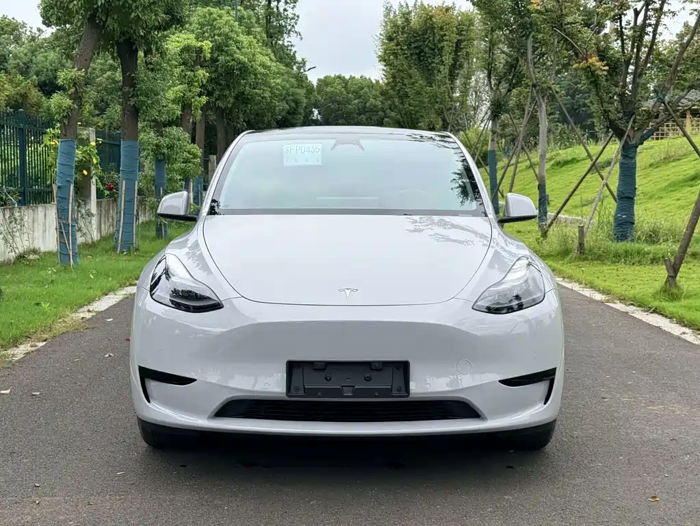 Tesla Model Y — фото 3
