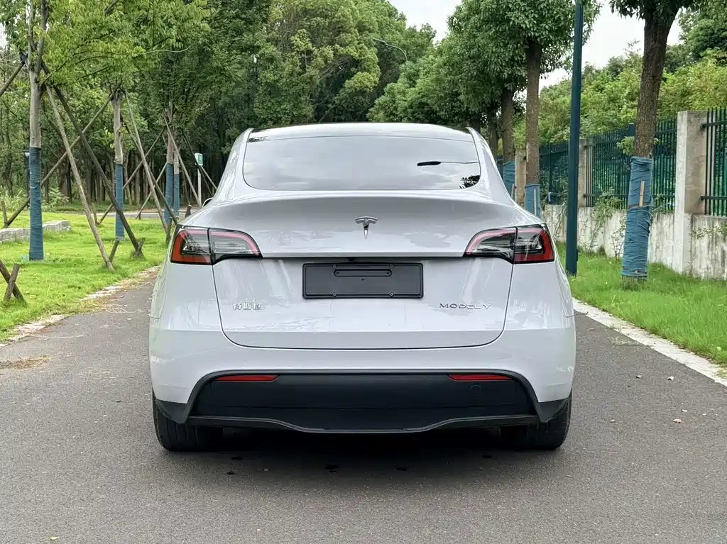 Tesla Model Y — фото 4