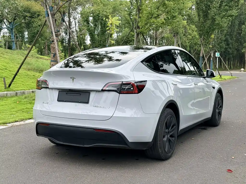 Tesla Model Y — фото 5