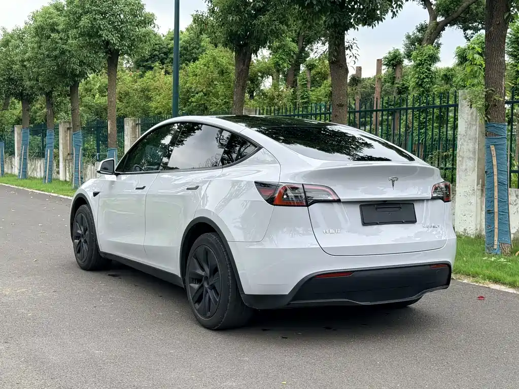 Tesla Model Y — фото 6