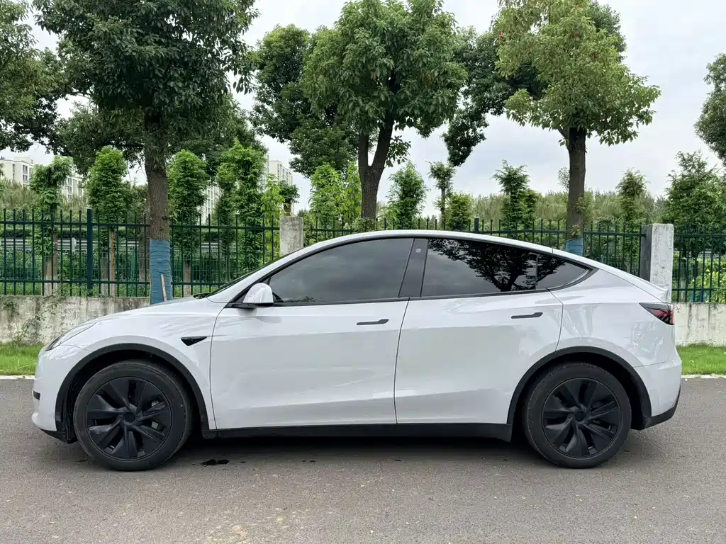Tesla Model Y — фото 8